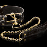 Ошейник с поводком Collar   Leash