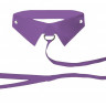 Фиолетовый кожаный воротник с поводком Purple OUCH!