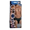 Мужские трусы-брифы Apollo Mesh Brief with C-Ring с эрекционным кольцом