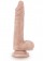 Телесный фаллоимитатор на присоске Dr. Skin Realistic Cock Stud Muffin - 21,6 см.
