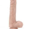 Телесный фаллоимитатор на присоске Dr. Skin Realistic Cock Stud Muffin - 21,6 см.