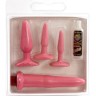 Набор анальных стимуляторов ANAL BEGINNER-S KIT