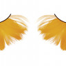 Пушистые оранжевые ресницы-перья
