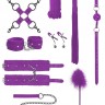Фиолетовый игровой набор БДСМ Intermediate Bondage Kit