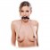 Черный кляп Ball Gag   Nipple Clamps с зажимами на соски