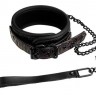 Фиолетово-чёрный ошейник с поводком BLAZE COLLAR AND LEASH PURPLE